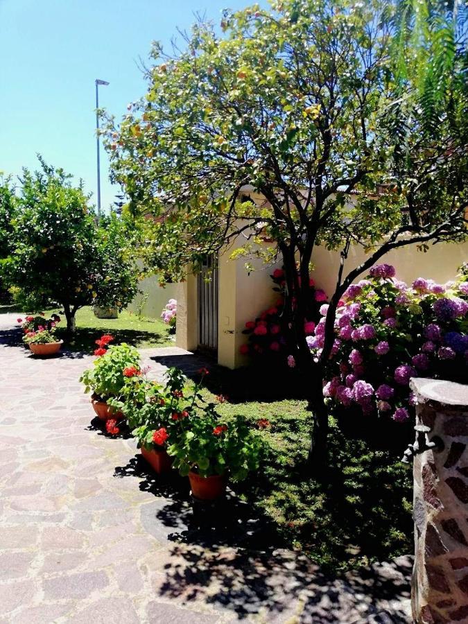 Апартаменты A Casa Di Iole Фьюмичино Экстерьер фото